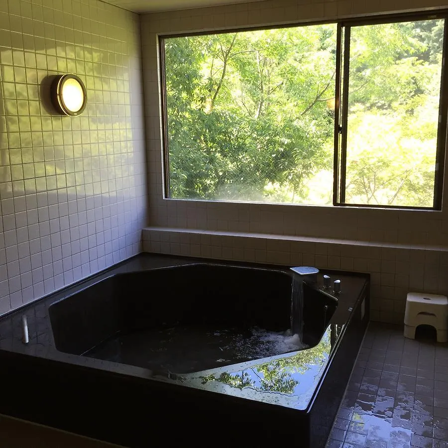 ホテルHakone Pacific 3*, 箱根町