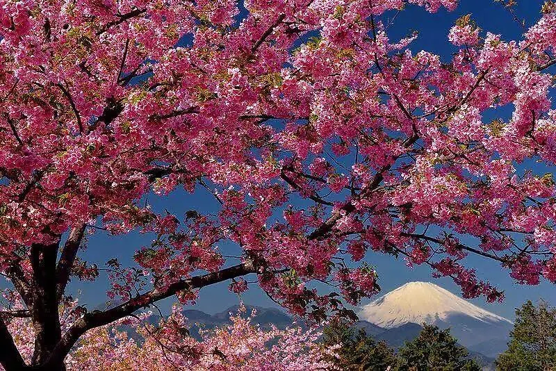 ホテルHakone Pacific ホテル