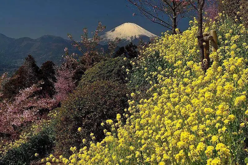 ホテルHakone Pacific