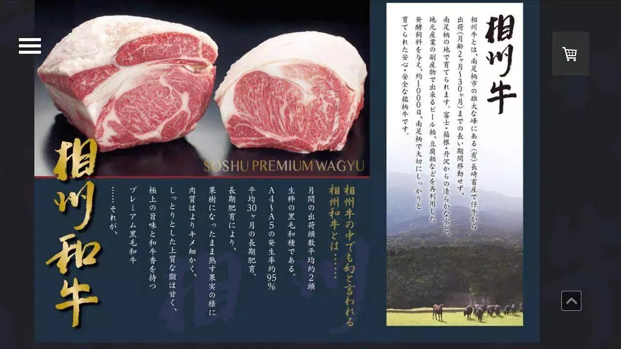 *** ホテル ホテルHakone Pacific 日本