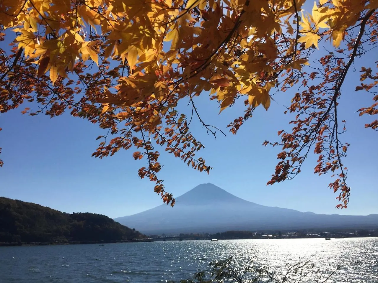 *** ホテル ホテルHakone Pacific 日本